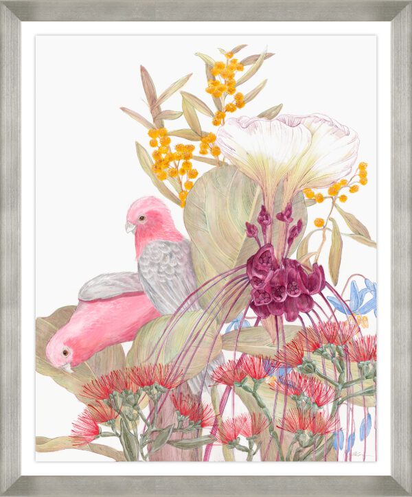 galahs-and-inflorescence-orchids-parrots-art-print-by-Allison-Cosmos