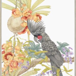 Adventures-of-the-Palm-cockatoo-black-parrot-art-print-by-Allison-Cosmos