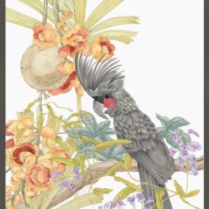 Adventures-of-the-Palm-cockatoo-black-parrot-art-print-by-Allison-Cosmos