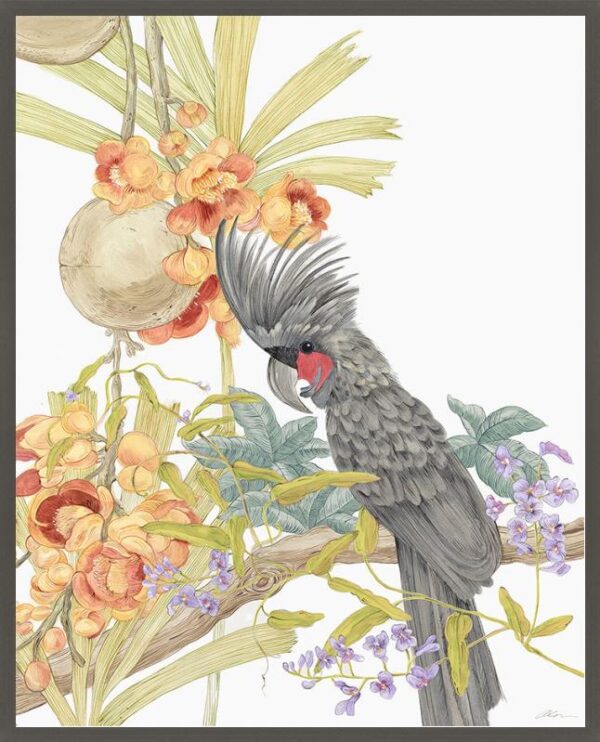 Adventures-of-the-Palm-cockatoo-black-parrot-art-print-by-Allison-Cosmos