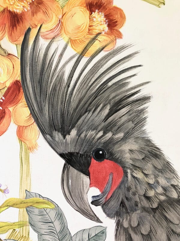 Adventures of the Palm Cockatoo" black parrot art print featuring a palm cockatoo with flowers in the background.