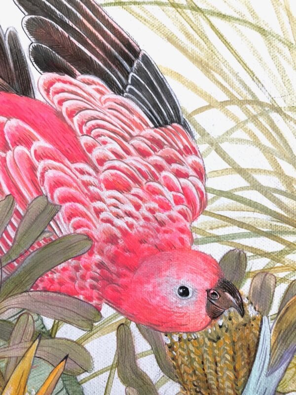 A "Bird of Paradise" Tropical parrot bird painting of a pink parrot sitting on a leaf.