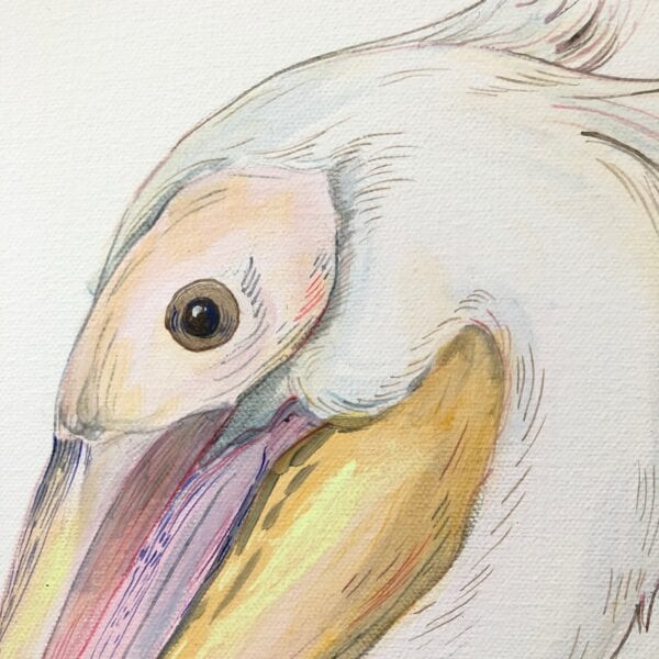A stunning watercolor painting of a majestic pelican, available as the "My Mykonos Morning" pelican art print.