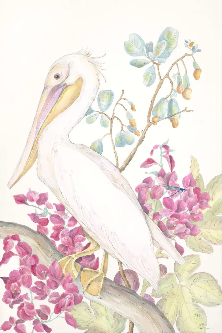 my-mykonos-morning-pelican-art-by-Allison-Cosmos