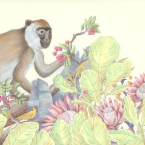 the-natives-monkey-painting-by-allison-cosmos