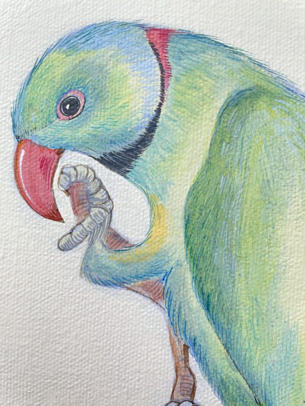green-chinoiserie-parrot-art-by-allison-cosmos
