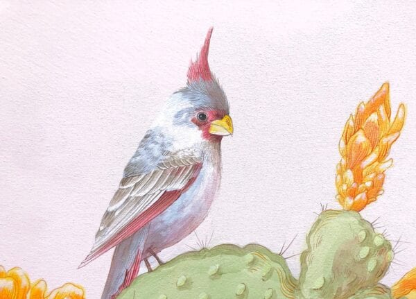 A watercolor painting of a cardinal perched on a "Sonoran Oasis" desert cactus art in the desert wilderness.