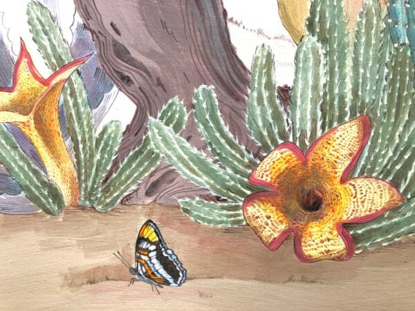 A "Sonoran Oasis" desert cactus art of desert cactus plants with a butterfly.