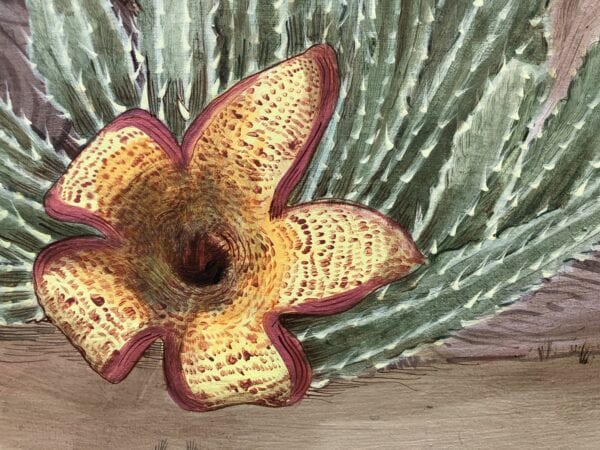 A "Sonoran Oasis" desert cactus art of a desert cactus flower.