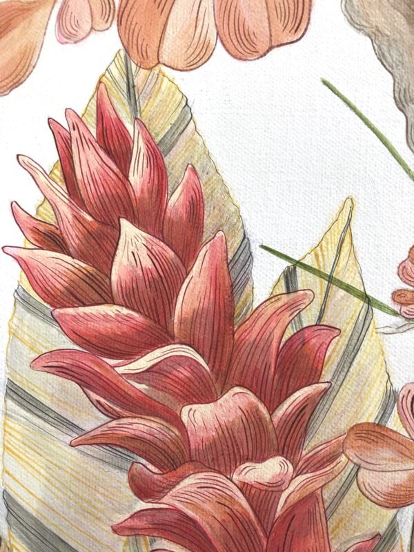 A drawing of hibiscus flowers and leaves.