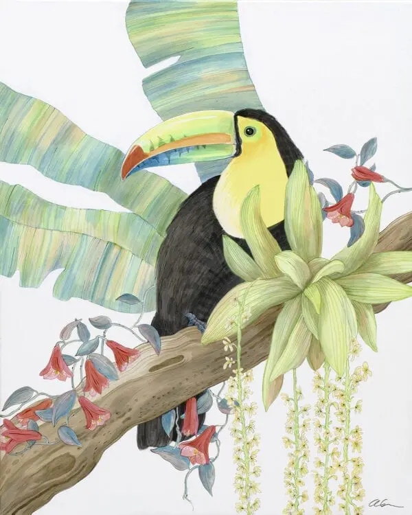toucan-parrot-art-print-by-Allison-Cosmos