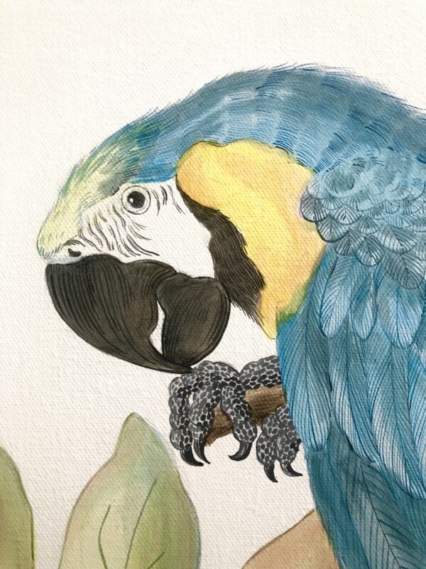 A "Forever and a Day" Chinoiserie parrot macaw painting of a blue and yellow parrot.
