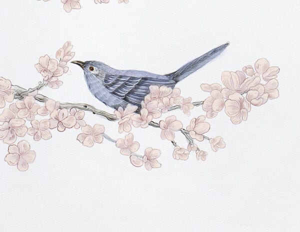 "Social-Nest-Working"-chinoiserie-cherry-blossom-bluebird-by-Allison-Cosmos
