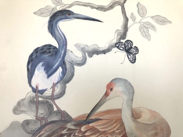 A "Long Time No Sea" Coastal Birds, Chinoiserie Art print featuring a bird and a butterfly perched on a branch.