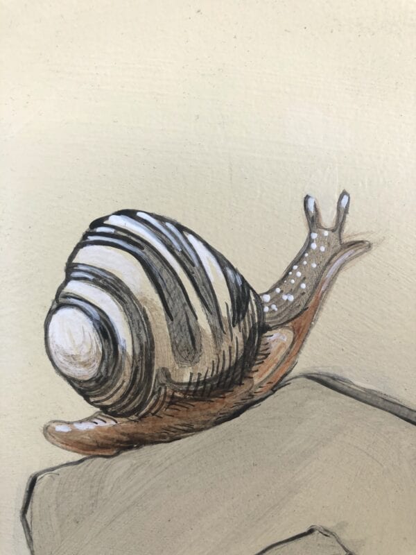 A drawing of a snail on a rock.