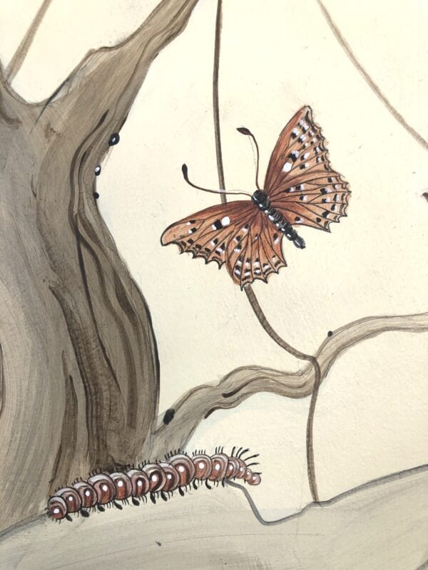 A drawing of a butterfly and a caterpillar.