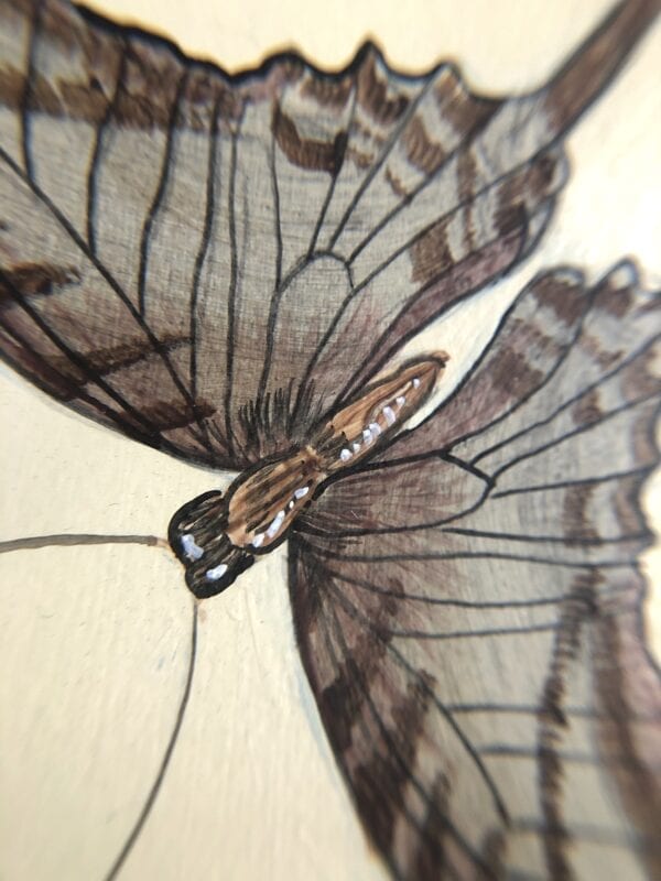 A drawing of a butterfly on a piece of paper.