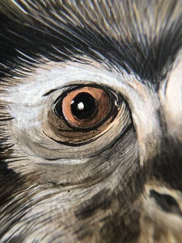 A close up of an owl's eye featuring a "Monkey Business" Chinoiserie Chic Monkey Painting.