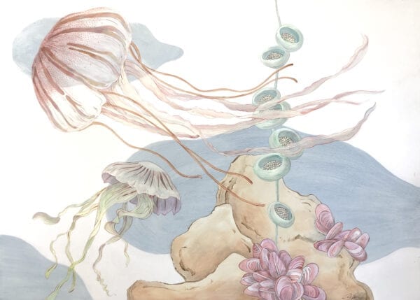Jellyfish-painting-coastal-art-by-Allison-Cosmos