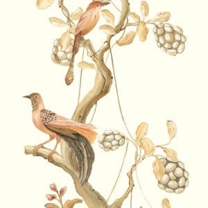 "Take-it-to-the-Nest-Level"-Chinoiserie-art-bird-painting-by-Allison-Cosmos