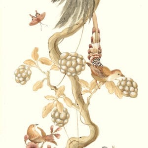 "Without-Feather-Ado"-Chinoiserie-art-bird-painting-by-Allison-Cosmos