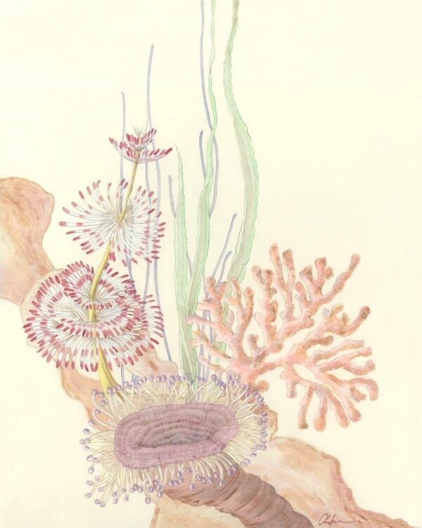 Coral-Reef-triptych-coastal-art-underwater-by-allison-cosmos