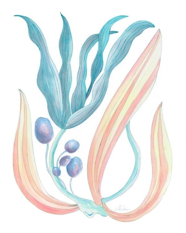 A watercolor painting of a plant with blue and pink leaves.