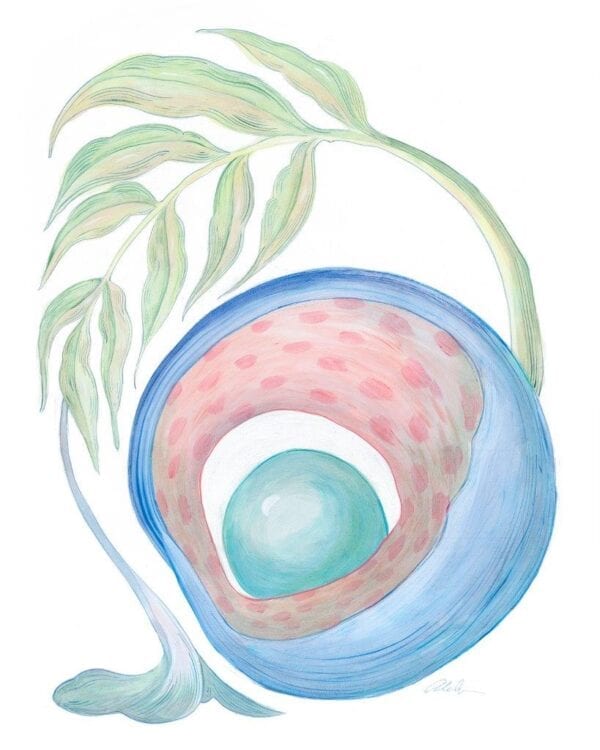 A watercolor painting of a blue shell with a green leaf.