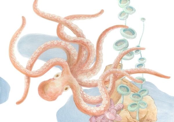 An-Octopus's-Garden-coastal-art-painting-by-Allison-Cosmos