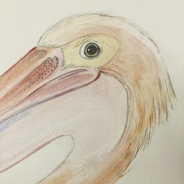 pelican-painting-pelican-art-by-allison-cosmos