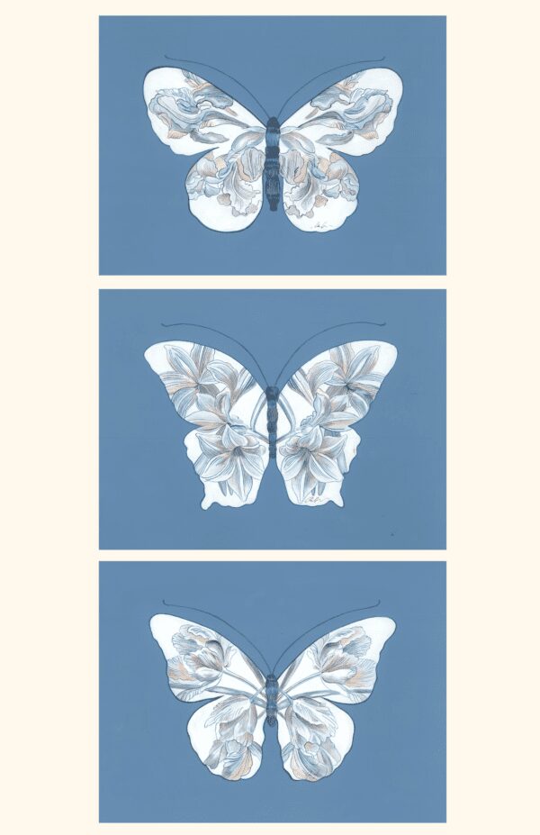 Three "Double Dutch" Chinoiserie art butterfly prints in blue and white on a blue background.