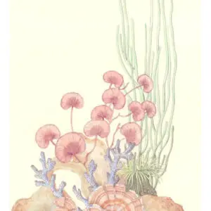 coral-reef-art-painting-coastal-by-Allison-Cosmos