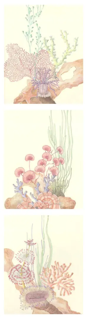 coral-reef-art-painting-coastal-by-Allison-Cosmos