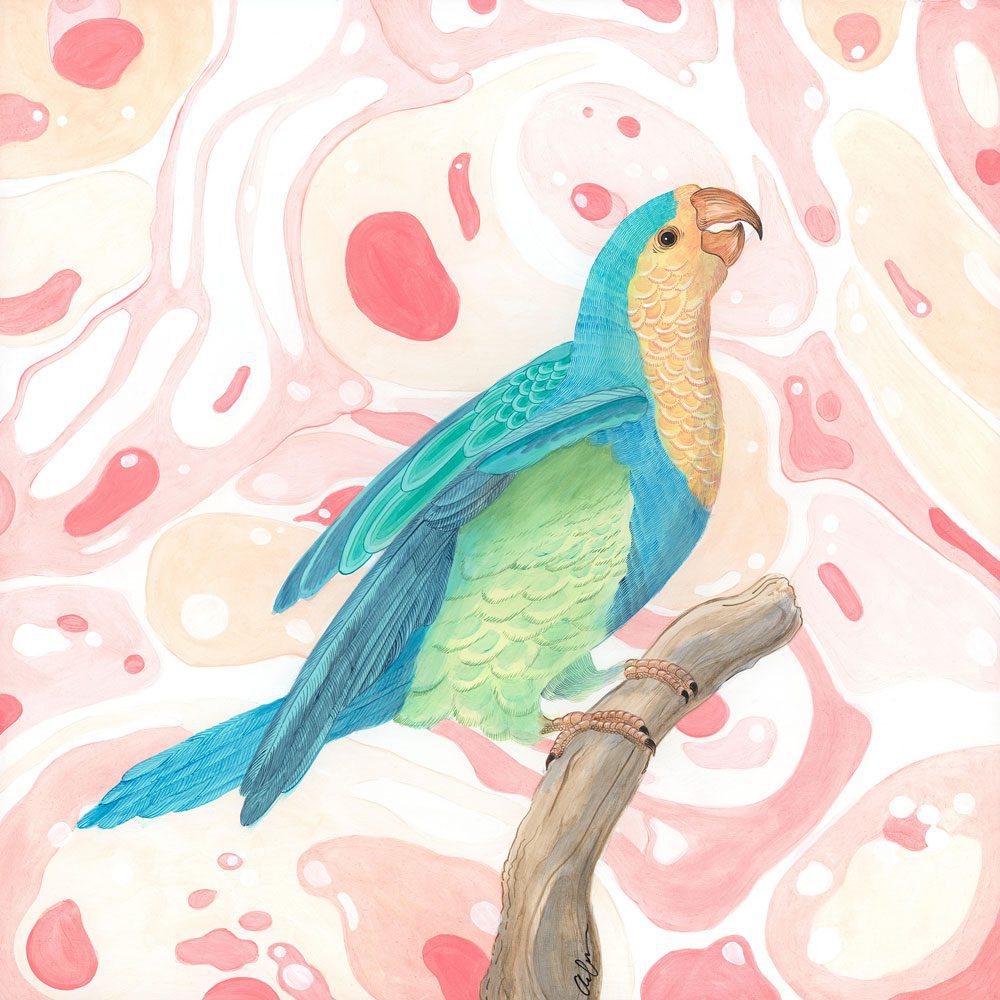 Feather-Let-me-Go-parrot-art-painting-Allison-Cosmos