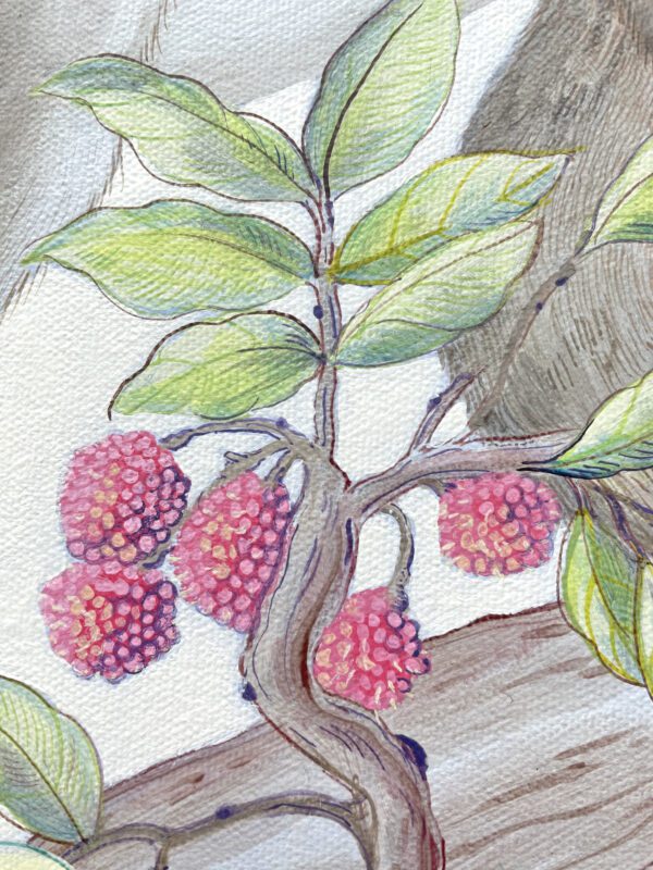berries-painted