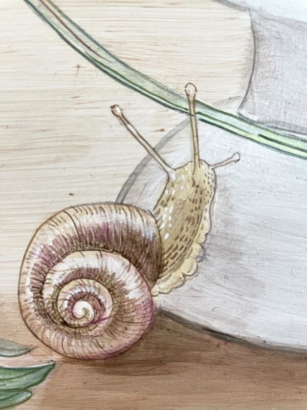 snail-painting-by-allison-cosmos