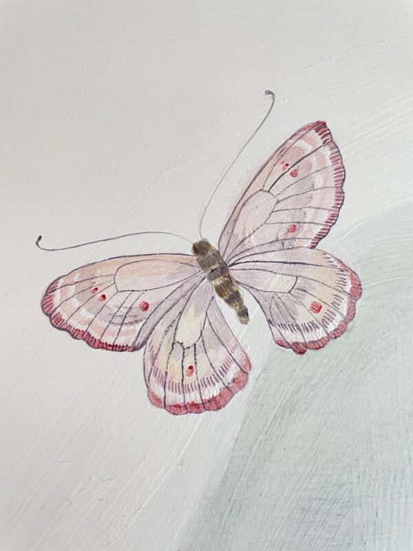 chinoiserie-butterfly-by-allison-cosmos