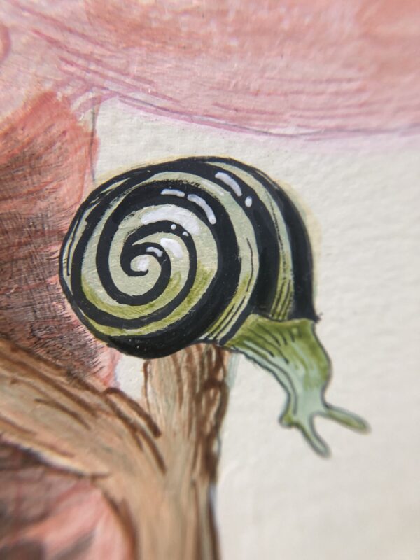 painting-of-a-snail-by-allison-cosmos