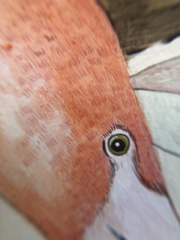 detail-of-a-flamingo-face-by-allison-cosmos