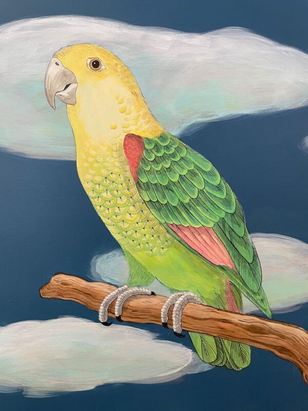 the-feather-forecast-parrot-painting-bird-by-allison-cosmos