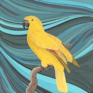 Gossip-swirl-yellow-parrot-art-painting-by-allison-cosmos