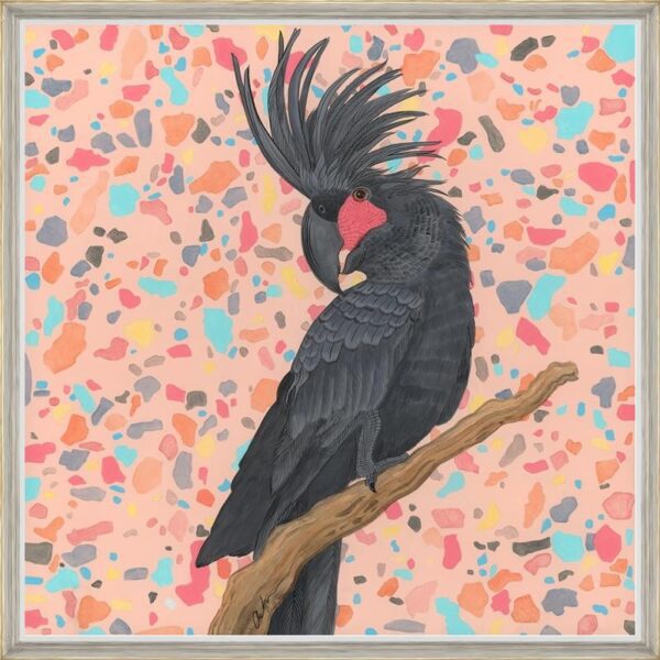 punk-punch-love-palm-cockatoo-black-parrot-art-by-Allison-Cosmos