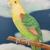The-Feather-Forecast-parrot-art-bird-painting-by-Allison-Cosmos