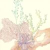 a-coral-obligation-reef-art-print-by-Allison-Cosmos