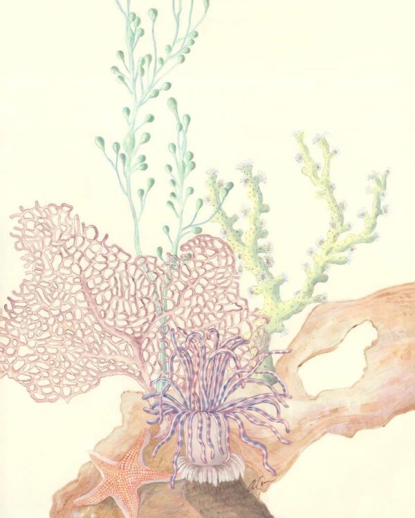 a-coral-obligation-reef-art-print-by-Allison-Cosmos