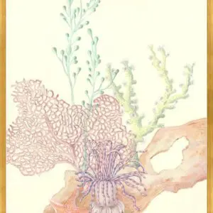 a-coral-obligation-reef-art-print-by-Allison-Cosmos