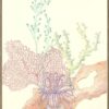 a-coral-obligation-reef-art-print-by-Allison-Cosmos