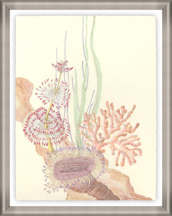 love-your-anemones-coral-reef-art-by-Allison-Cosmos