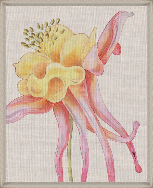 yellow-columbine-flower-painting-by-Allison-Cosmos