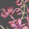 fireweed-flower-painting-art-by-Allison-Cosmos